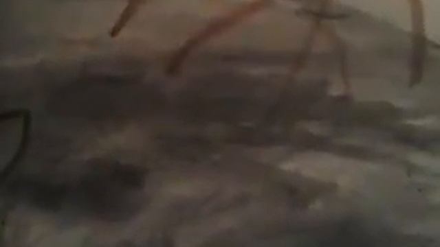 Рисую спящего котика на мольберте #2 смотреть онлайн