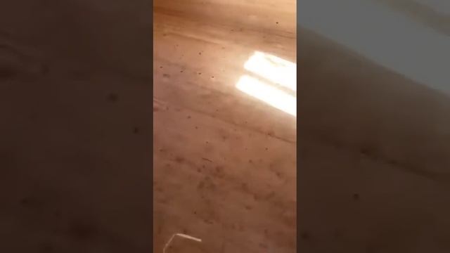 Дачный домик 6х4 имитация бруса смотреть онлайн