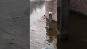 Провалился под лёд