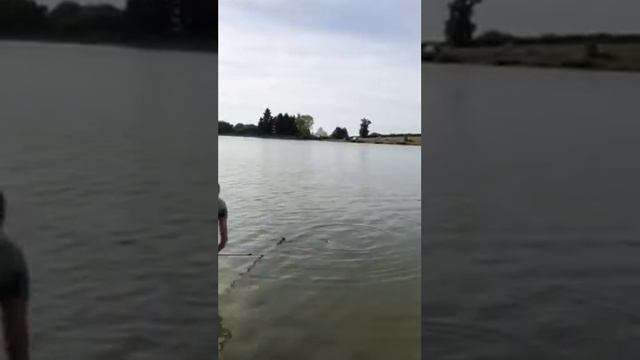ловля карпа на бойлы 27 Kg