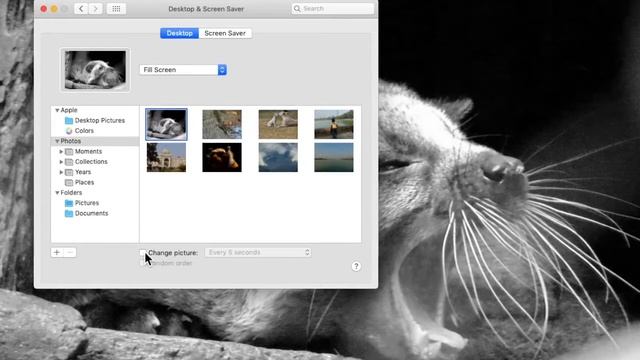 HOW TO CHANGE WALLPAPER ON MAC смотреть онлайн