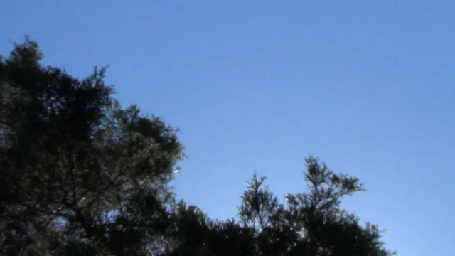 July,16,2014 Thunderstorm Yesterday ~~ Beetle Swarm Today смотреть онлайн