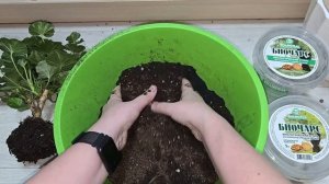 СДЕЛАЙ ЭТО в апреле с Геранью, чтобы куст не желтел зеленел все лето как не в себя цвел и быстро ро