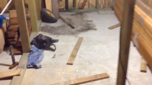 Начало возведения щитка для ферингера смотреть онлайн