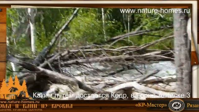 Каким путём достаётся Кедр, в Горно Алтайске 3 смотреть онлайн