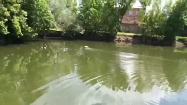 Копия видео Прикормочный кораблик смотреть онлайн