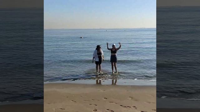 отдых с друзями в Дубае 2023 год смотреть онлайн