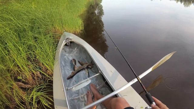 рыбалка на Мологе конец июня 2021 д.Ново-дмитровка