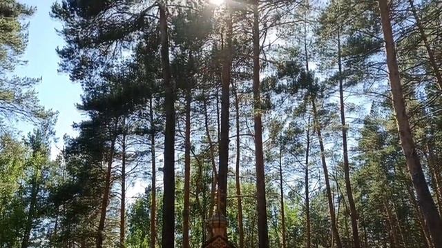 Музей-заповедник "Томская писаница" 2020