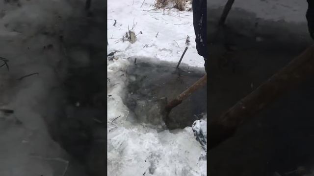 Ловля вюна на вершу із лози смотреть онлайн