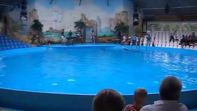 Дельфинарий. Украина Киев смотреть онлайн