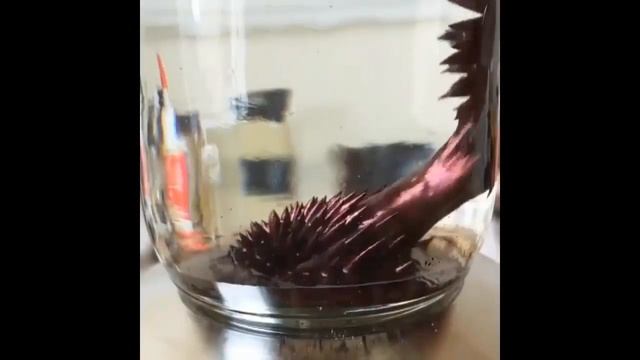 Одна минута впечатляющего видео смотреть онлайн