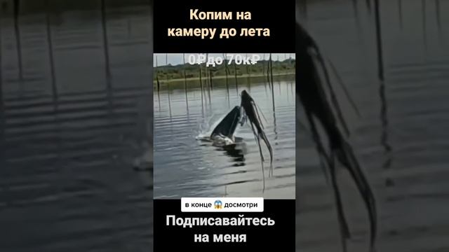 #копим #рыбалка