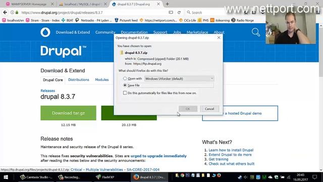 Drupal installation on Windows 10 смотреть онлайн
