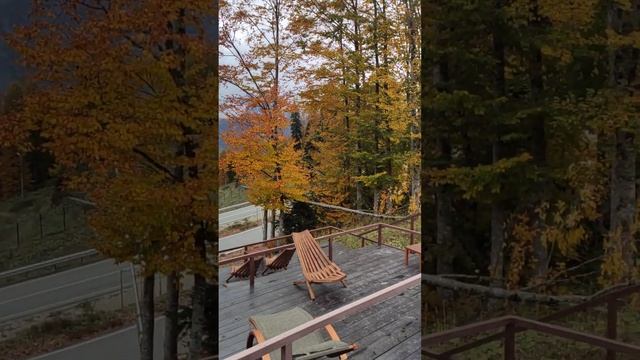 Красная поляна, Галактика , Приют Психако, катание на подъемнике (1) смотреть онлайн