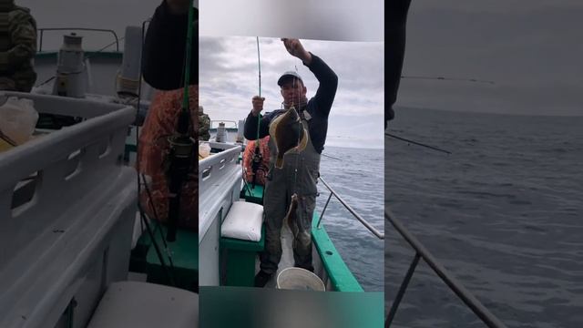 приглашаем на рыбалку 89245246006 Уссурийск ул арсеньева 1,2этаж #уссурийск #рыбалкадв #снасти