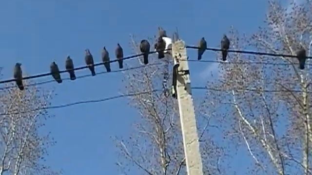 перекус калязинский смотреть онлайн