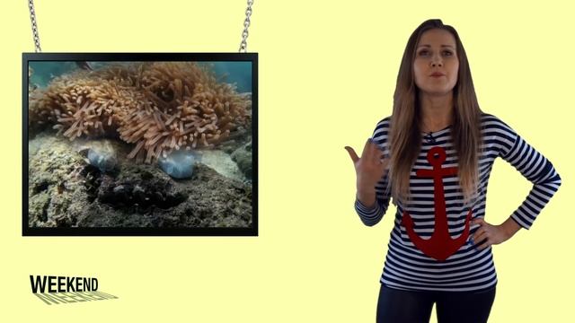 Weekend / Выпуск №44 смотреть онлайн