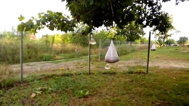 супер летающие пакеты смотреть онлайн