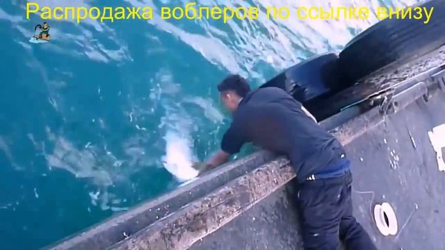 Zipbaits Rigge Hunted 78s отзывы