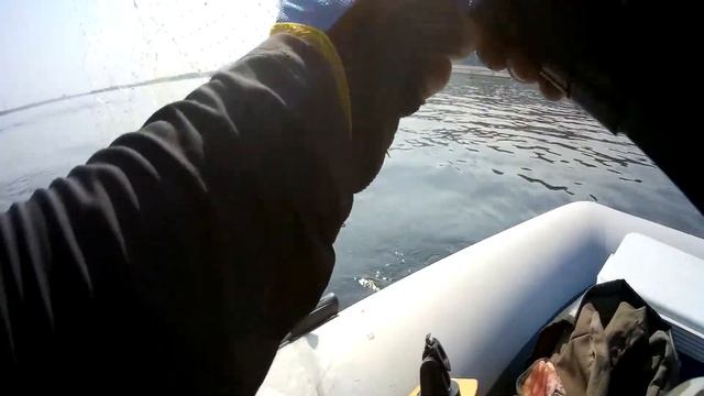 Ловля в жару на Волге. Сюрприз на перекате.