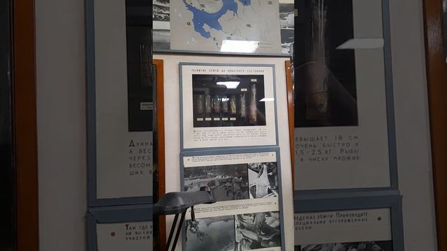 в институте Пинро, 3 часть. смотреть онлайн