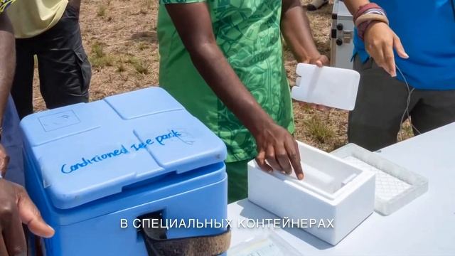 Вакцины на дронах. Проект ЮНИСЕФ в Вануату