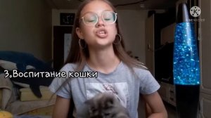 Что нужно знать перед тем как завести котенка?6 правил! | МонАкира