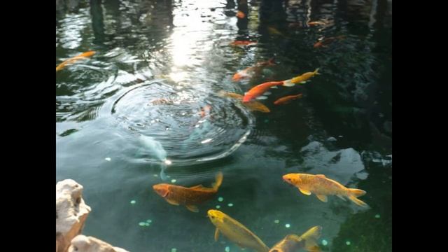 виртуальная экскурсия смотреть онлайн