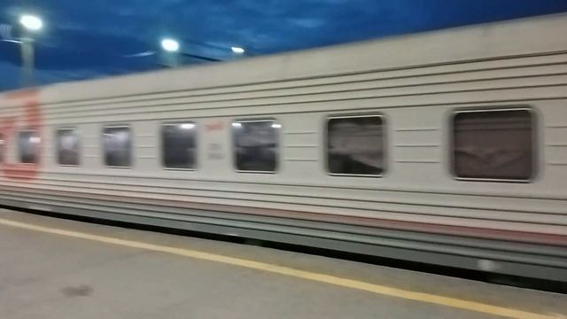 12:30 9 июля 2023 года, город Сургут станция, собаки спят ночью возле перона смотреть онлайн