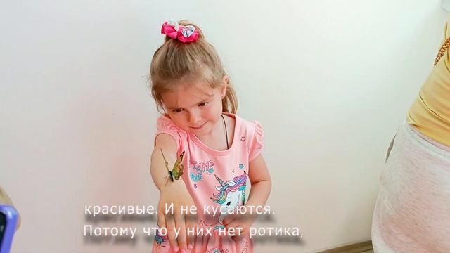 Живые бабочки. Аня с Катей знакомятся с бабочками смотреть онлайн
