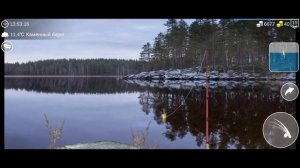 гайд на ротана в my fishing would