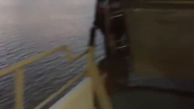 Начало движения ББС