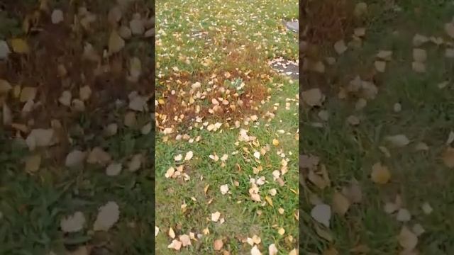 В музее самолетов#1 смотреть онлайн