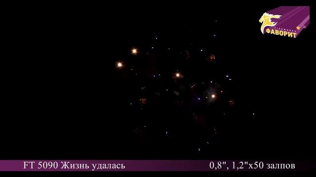 Батарея салютов 'Жизнь удалась' FT 5090 смотреть онлайн