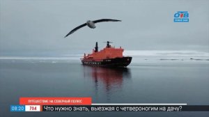 Путешествие на северный полюс