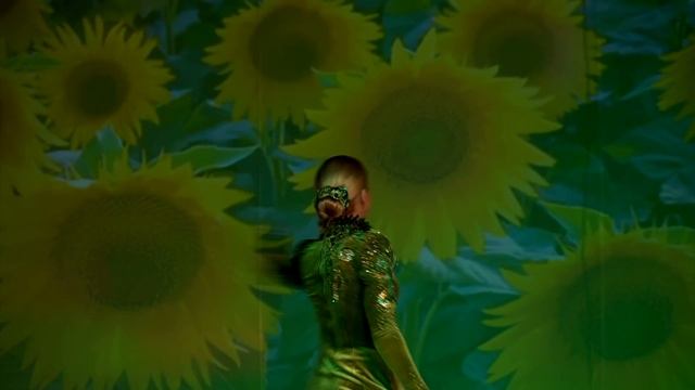 "Не покидайте дом родной" (сл. и муз. С.Юрасовой). Поет Засл.арт.РФ Светлана Юрасова смотреть онлайн