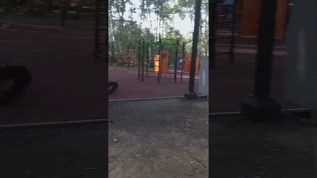 парк приводят в порядок.