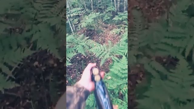 Без оружия здесь не выживешь на змеином болоте смотреть онлайн