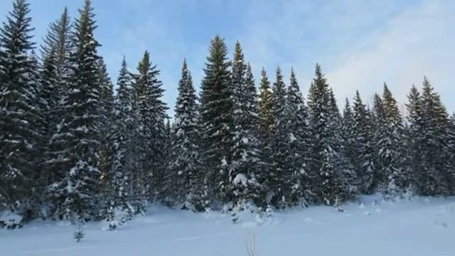 08 04 2015 г п  Белогорск оператор Ю Рогалис Mp4