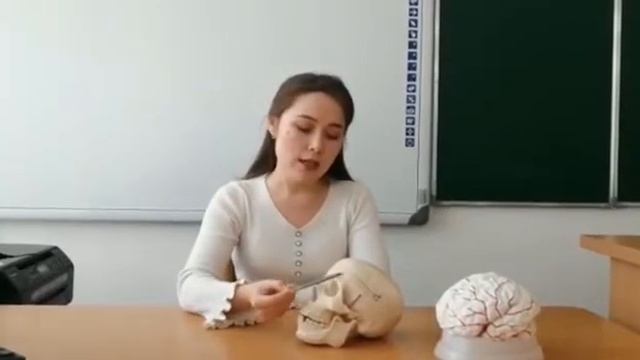 "Молодые специалисты в школе новаторов", учитель биологии : Трнабаева Эльвира Адыльгаликызы смотреть онлайн