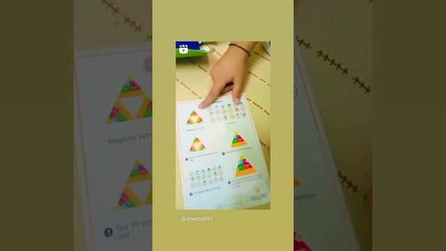 Food Pyramid Project