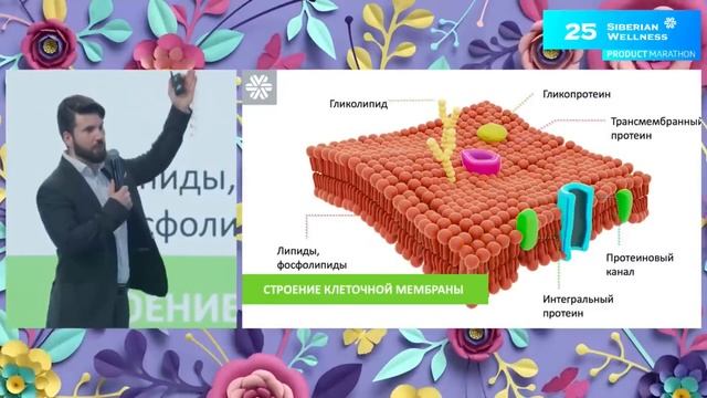 13,03 витамин Е смотреть онлайн