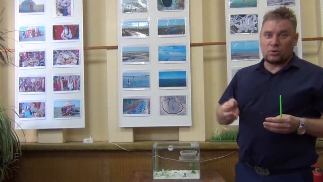 музей смотреть онлайн