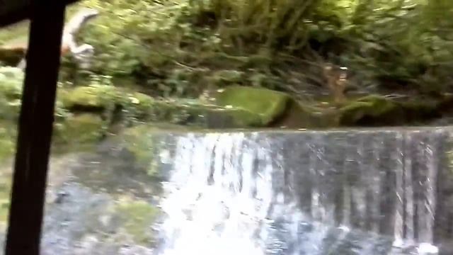 Re brave dave смотреть онлайн