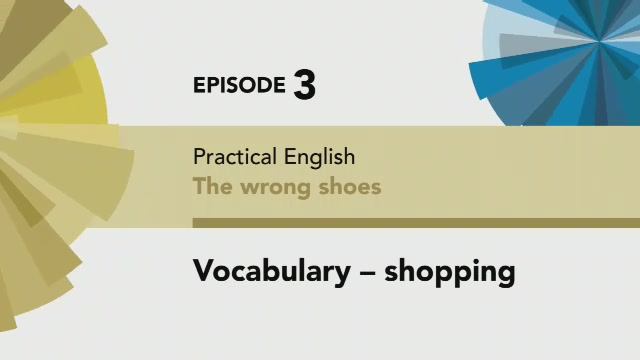 English File 4 Edition Pre-intermediate Practical English Episode 3 Vocabulary Quiz