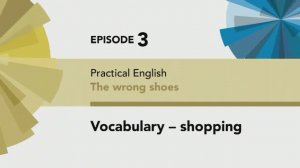 English File 4 edition Pre-intermediate Practical English Episode 3 vocabulary quiz