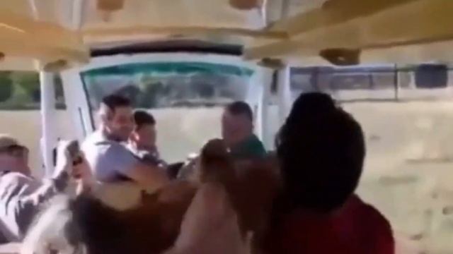 Незабываемое сафари... смотреть онлайн