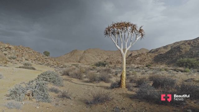 Are You Brave Enough for Richtersveld? 5 Tips to Survive This South African Desert смотреть онлайн