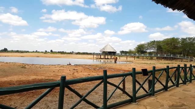 Elephant time laps video Voi Wildlife Lodge watering hole смотреть онлайн
